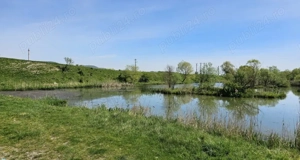 Teren extravilan Avrig 