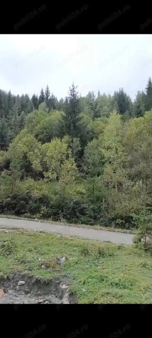 Teren de vanzare Dorna Arini - imagine 3