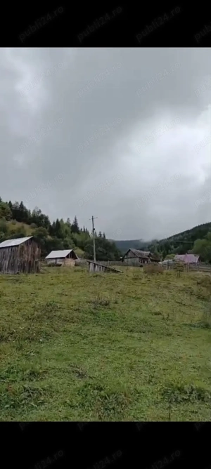 Teren de vanzare Dorna Arini - imagine 5