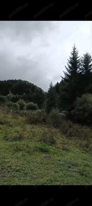 Teren de vanzare Dorna Arini - imagine 4