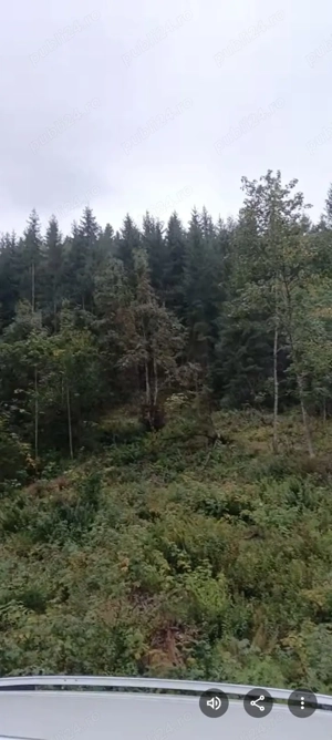 Teren de vanzare Dorna Arini - imagine 2