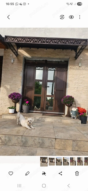 Vand urgent casa Sendreni - imagine 5