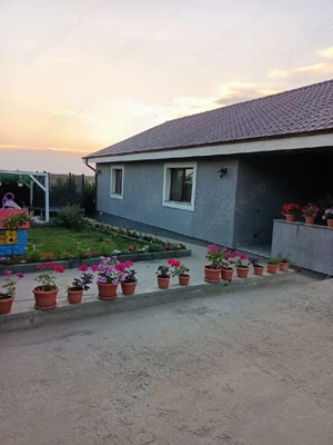 vand casa sat Costi - imagine 6