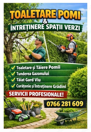 Tund pomi -toaletare spații verzi 