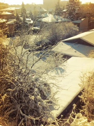 Apartament 3 camere + 1 birou,  Cotroceni, curte si gradina, metrou Eroilor - imagine 21