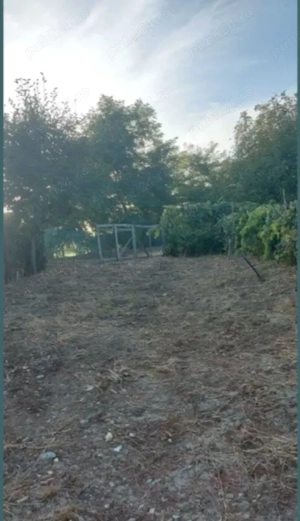 Teren zona ANL Bucovina 