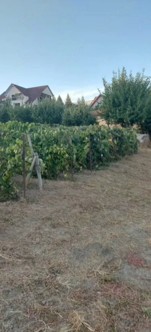 Teren zona ANL Bucovina  - imagine 2