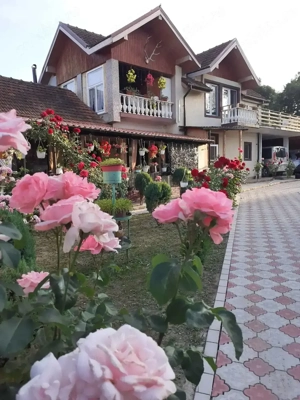 Casa de vânzare : sat. Serel, com.Pui, jud Hunedoara, cu spațiu comercial și iaz de peste. 