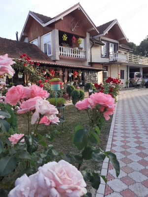 Casa de vânzare:Serel, jud Hunedoara,cu spațiu comercial și iaz de peste. Detalii doar la telefon.