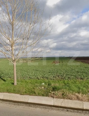 Teren 15.000 mp, 28 parcele, Peugeot/Pielesti