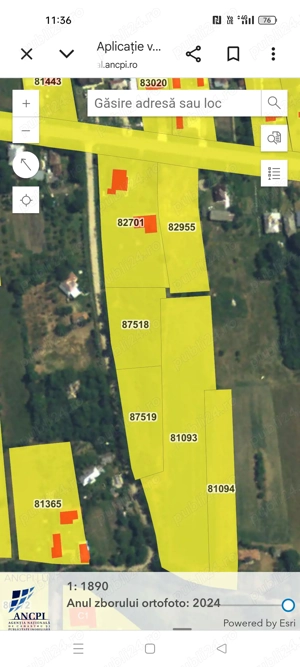 Vând teren intravilan Rociu-Șerbanesti