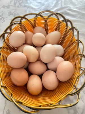 disponibil oua pentru incubat  - imagine 3