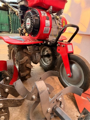 Motosapa Ruris zimbru 6000  - imagine 5