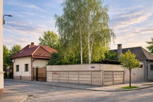 Casă în zona centrală( spatiu comercial casa de locuit) singur in curte