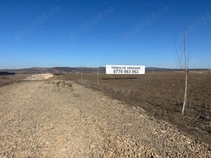 Teren Sangiorgiu de Mures - imagine 4