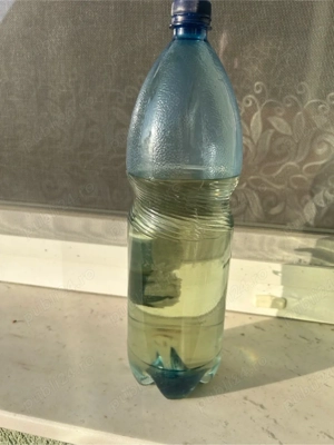 Palinca de prune, struguri