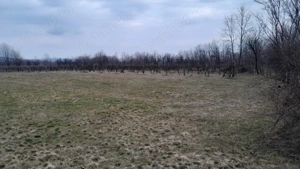 Vand teren intravilan - imagine 7