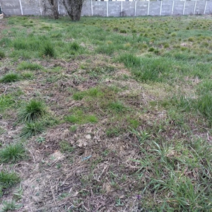 Vand teren Ghiroda Slavik 950mp direct proprietar