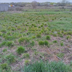 Vand teren Ghiroda Slavik 950mp direct proprietar - imagine 3