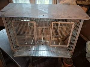 Cuști pentru papagali 