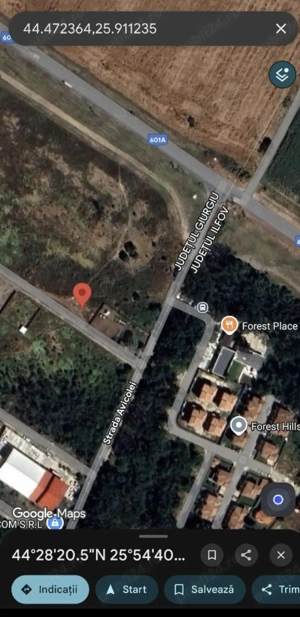 Teren 805 mp Joița Bâcu  40 ml deschidere  1 km de A0