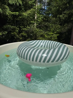 Inchiriez cabana cu ciubar in Statiunea Muntele Baisorii, Buscat,Baisoara - imagine 2