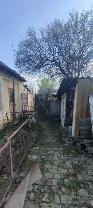 Teren 480 mp Vatra Veche Sacălaz de vânzare 