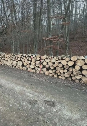 vand lemne de foc esenta tare carpen fag acati - imagine 3