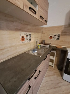 Titan IOR, Garsoniera mare - imagine 6