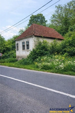 Domeniu verde autentic,  +5.000mp, front la DJ, Valcele, Brasov -- Covasna