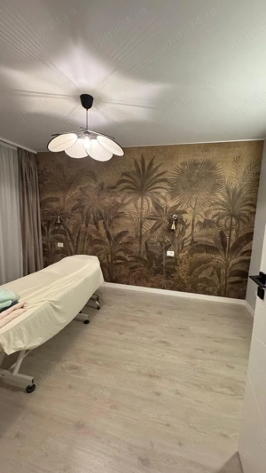 inchiriez apartament pt terapeuti   maseur - imagine 4