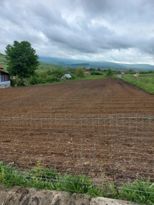 Teren de vanzare Jelna - imagine 4