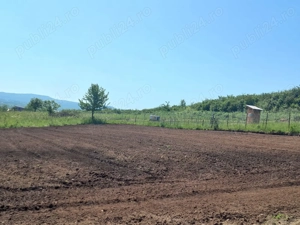 Teren de vanzare Jelna - imagine 6