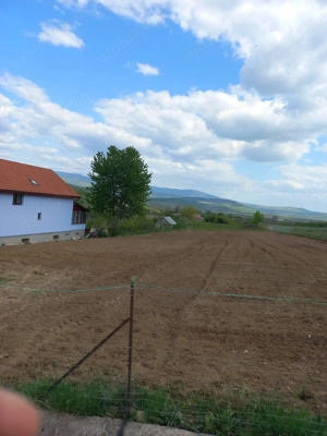 Teren de vanzare Jelna - imagine 3