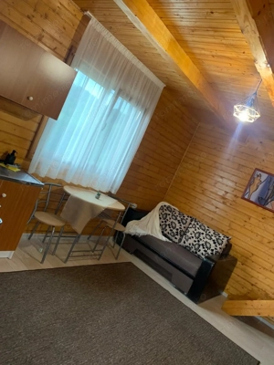 Complex 6 cabanute, spre vanzare, in Sovata, in apropiere de Lacul Ursu - imagine 4
