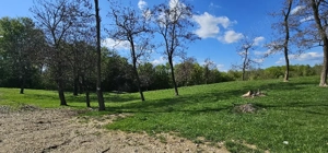 Teren intravilan intre paduri in Valeni-Dambovita - imagine 6