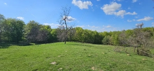 Teren intravilan intre paduri in Valeni-Dambovita