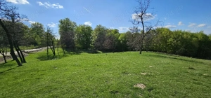 Teren intravilan intre paduri in Valeni-Dambovita