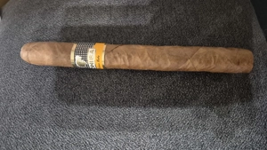 Vand trabuc cubanez Cohiba 170 mm