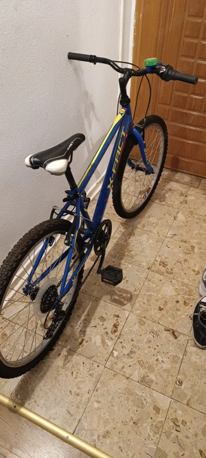 Bicicletă copii adolescenți X-Fact - 6 Viteze Shimano 24inchi