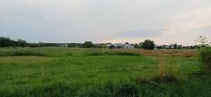 Teren de vânzare în Ilișești- 2900 mp, super preț! - imagine 3