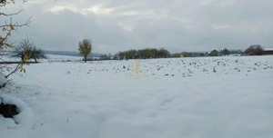 Teren de vânzare în Ilișești- 2900 mp, super preț! - imagine 2