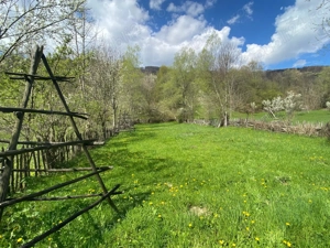 Vând teren Valea Doftanei 