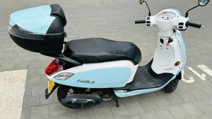 Scuter Fiddle III  Sym 50 cm  - imagine 5