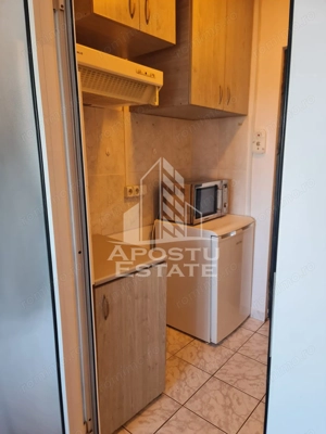 Apartament de inchiriat 1 camera, zona Lipovei, Timisoara, Timis - imagine 5