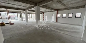 Spatiu comercial 1000 mp utili+ 15 locuri parcare,  zona Torontalului - imagine 2