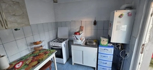 Sos. Alexandrie casa parter 3 camere de vanzare - imagine 22