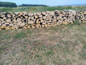 Vand lemne de foc esenta tare transport la domiciliu 240 lei