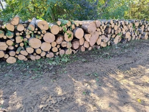 vand lemne de foc esenta tare transport la domiciliu 