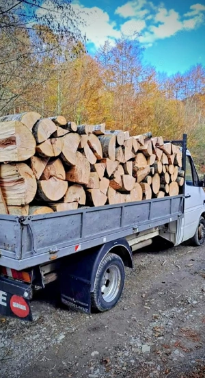 vand lemne de foc esenta tare carpen cu stejar 